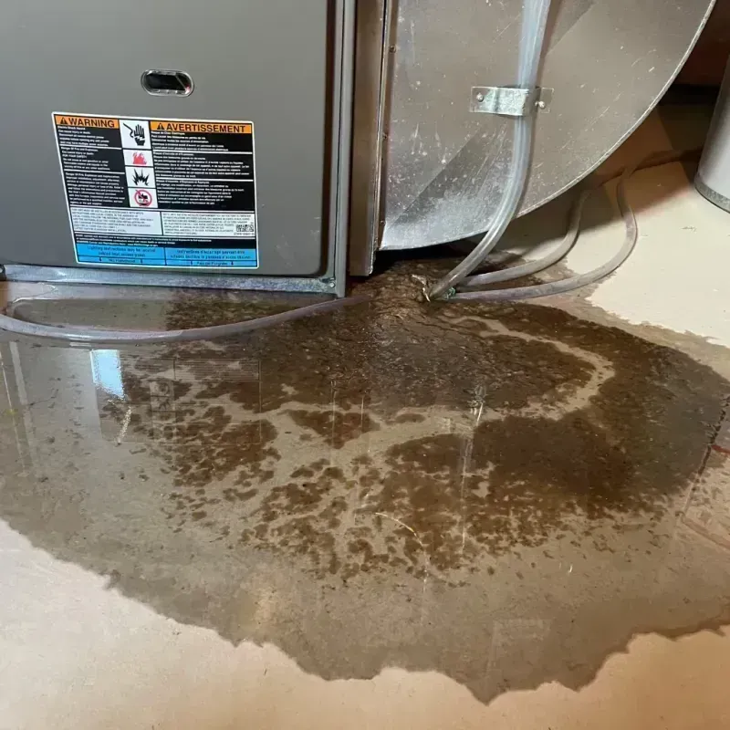 Appliance Leak Cleanup in Caseyville, IL